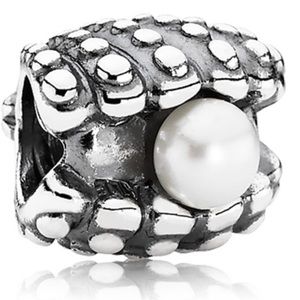 Pandora One of a Kind Shell Charm
